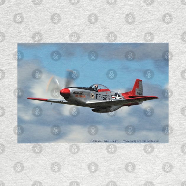 P-51D Mustang “Val-Halla” fast pass by acefox1